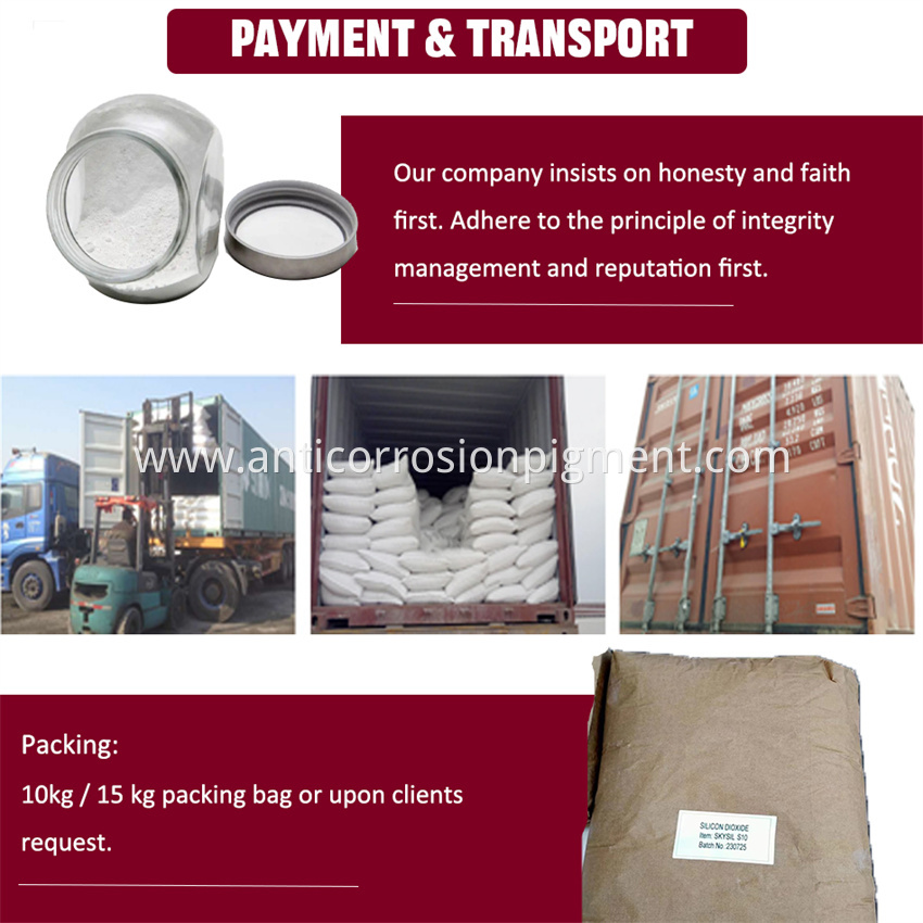 Payment Transport